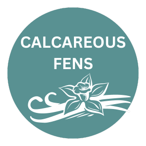 Calcareous Fens