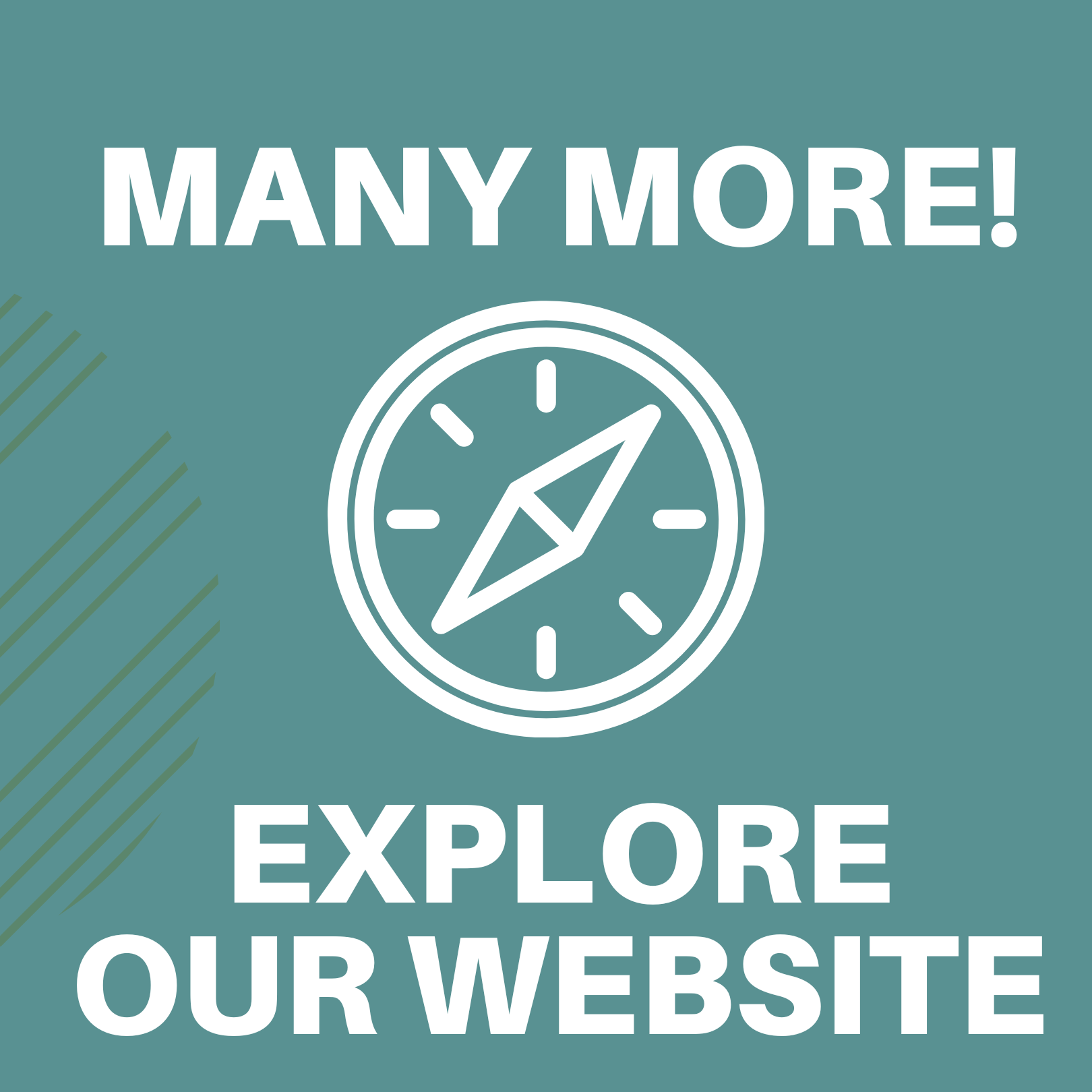 Many more! Explore our website.