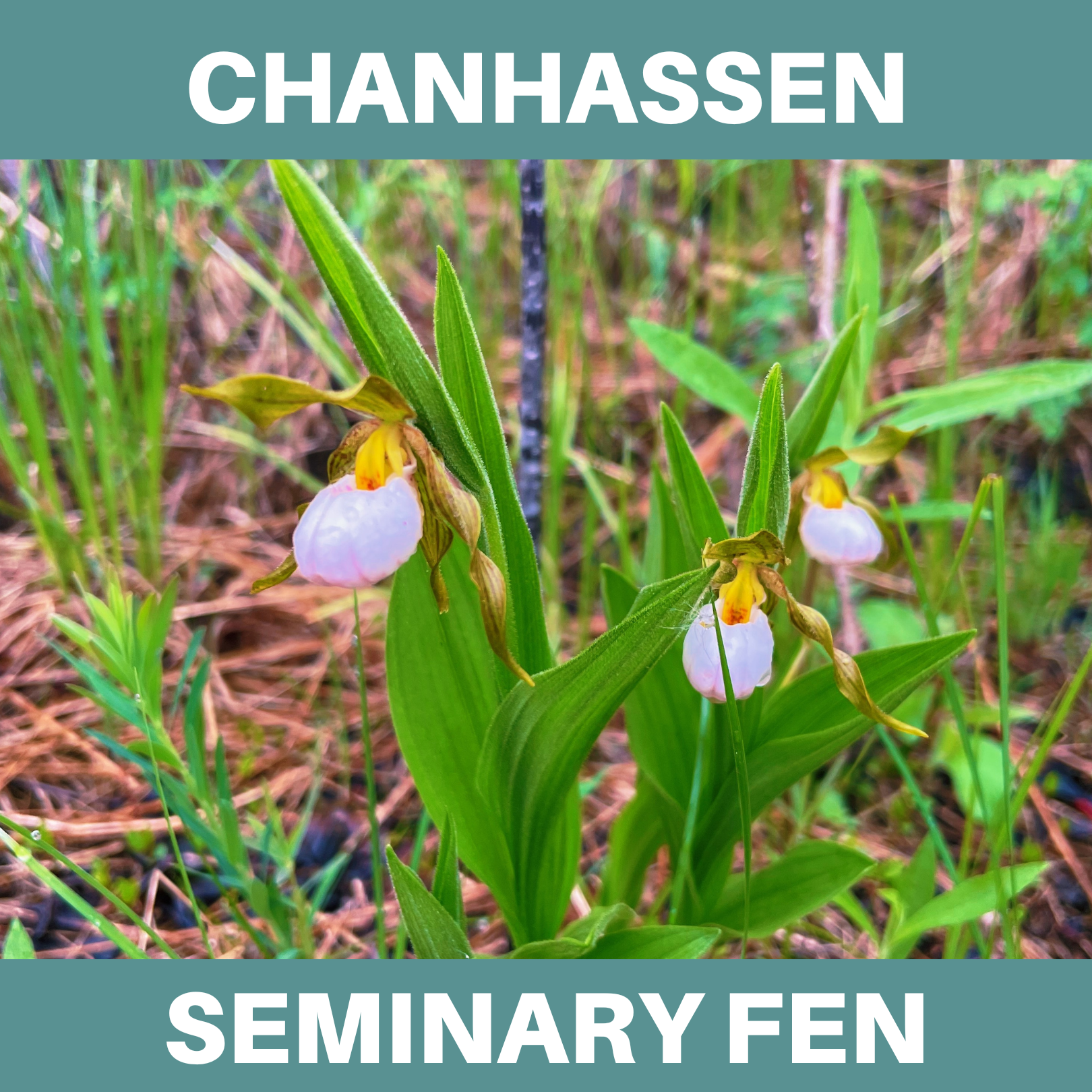 Chanhassen. Seminary Fen.