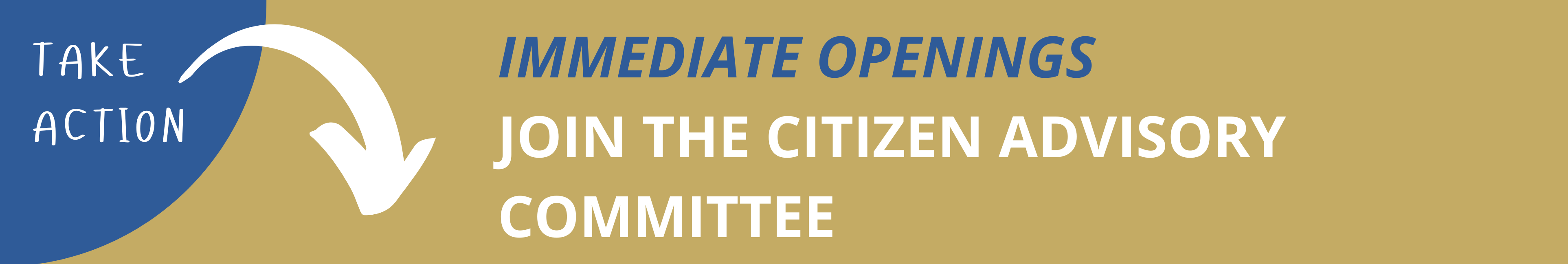 Take action! Immediate openings: Join the citizen advisory committee.