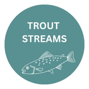 Trout Streams